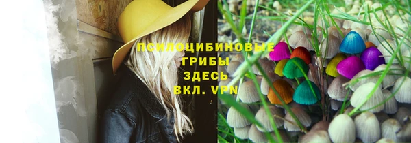 шишки Богородицк