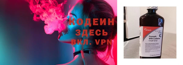 mdpv Бородино
