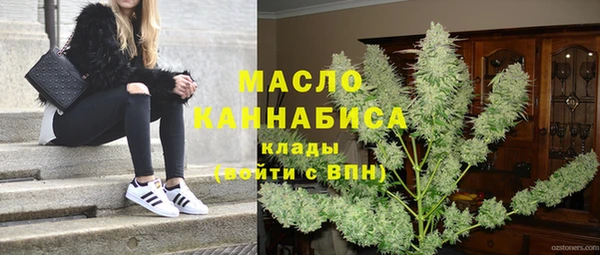 mdpv Бородино