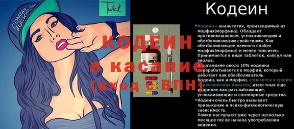 mdpv Бородино